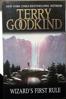 Goodkind ~ Wizard.jpg